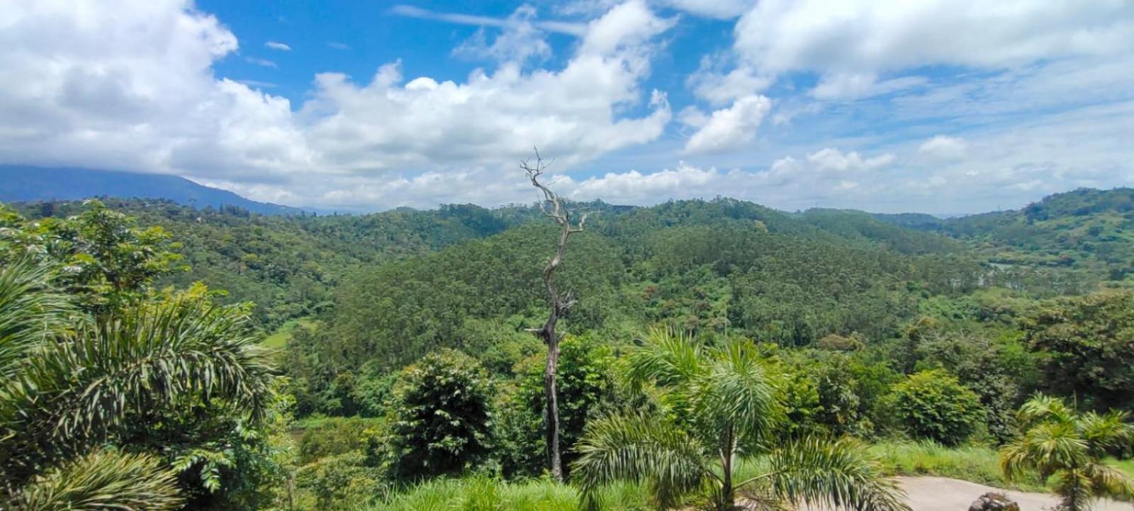 蒙纳湖景度假村 外观 照片